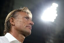 "حضوره قيمة كبيرة".. "فيفا" يحسم الجدل حول وجود رينارد في قرعة المونديال - getty